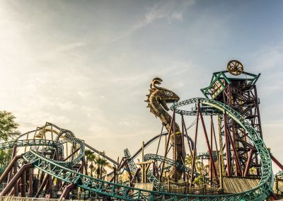 Cobra's Curse at Busch Gardens Tampa.