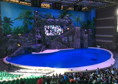 Tropical Heat at Chimelong Ocean Kingdom in Hengqin, Zhuhai, China