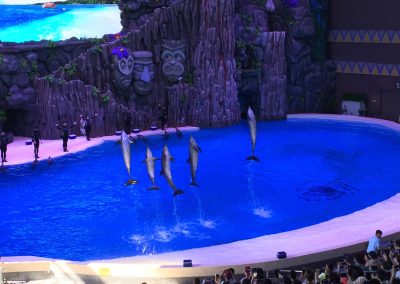 Tropical Heat at Chimelong Ocean Kingdom in Hengqin, Zhuhai, China