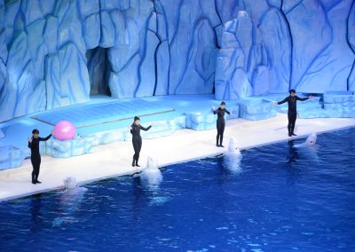 Under The Polar Moon at Chimelong Ocean Kingdom in Hengqin, Zhuhai, China