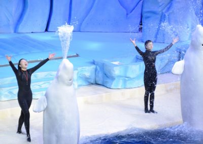 Under The Polar Moon at Chimelong Ocean Kingdom in Hengqin, Zhuhai, China