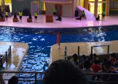 Sea Lions vs Pirates at Chimelong Ocean Kingdom in Hengqin, Zhuhai, China