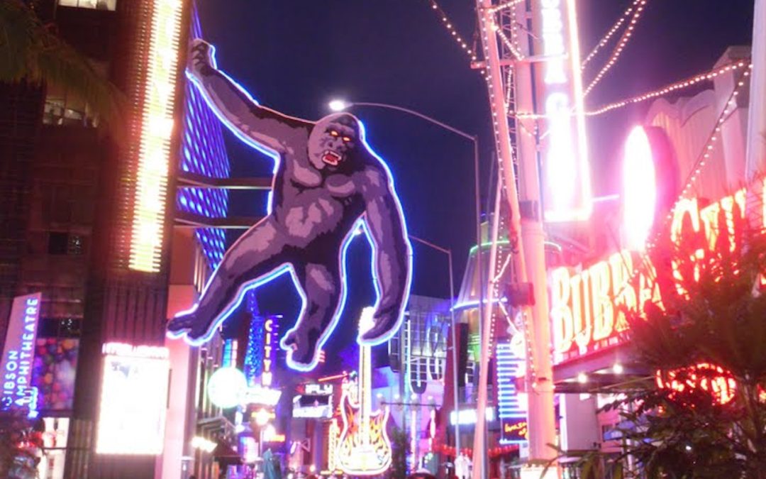 universal city movie universal city movie
